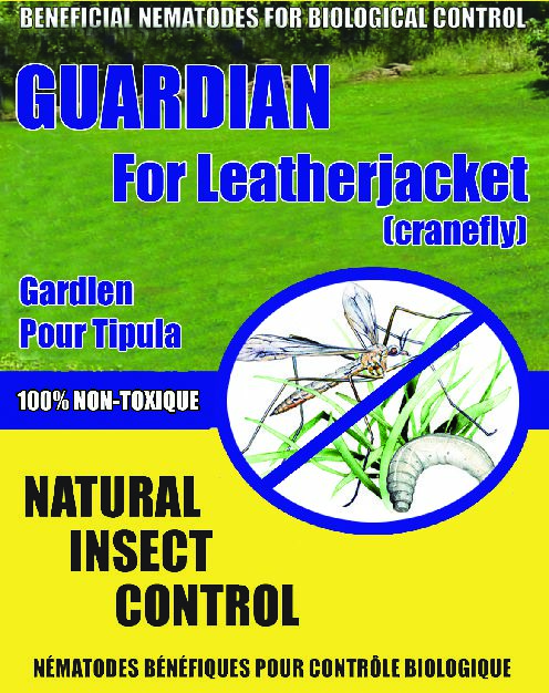 Guardian Nematodes for Leatherjackets