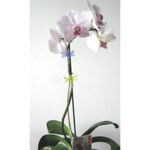 Orchid Stake And Clip Kit