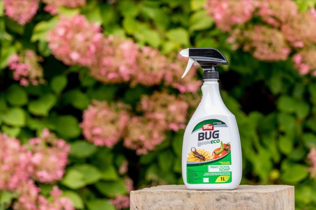 Ortho Bug B Gon Insecticidal Soap RTU