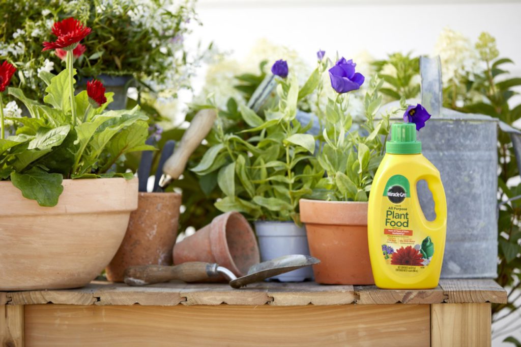 Miracle Gro Liquid All Purpose Plant Food Lifestyle 1