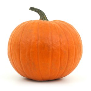Pie Pumpkins