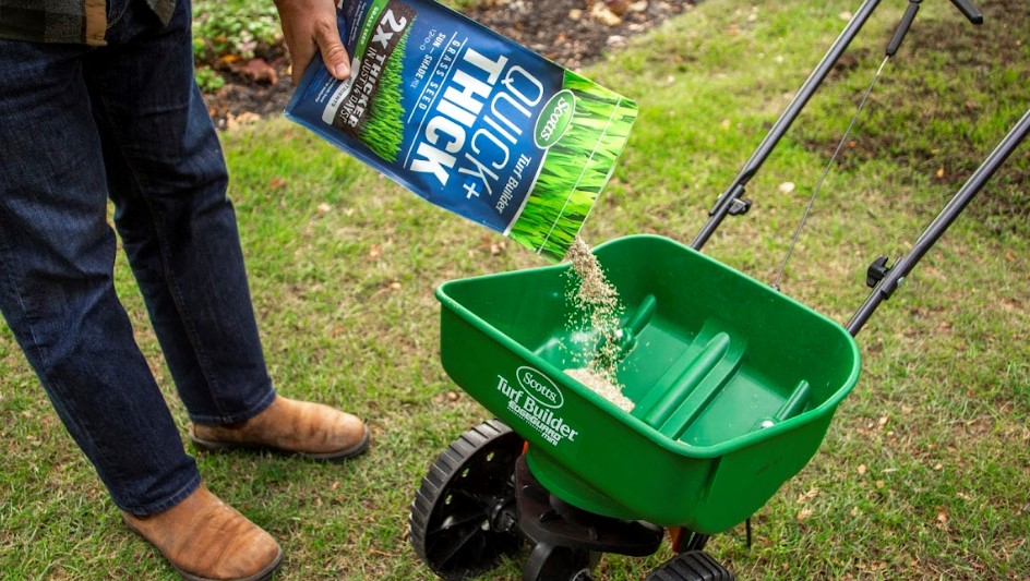 Scott's Quick and Thick Grass Seed Sun - Shade Lifestyle 3