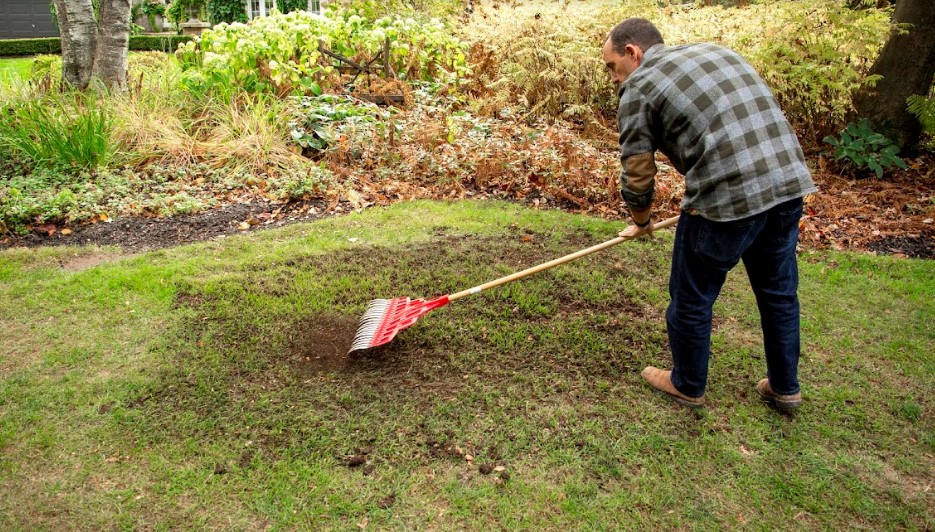 Scott's Turf Builder Quick + Thick Grass Seed Sunny 2
