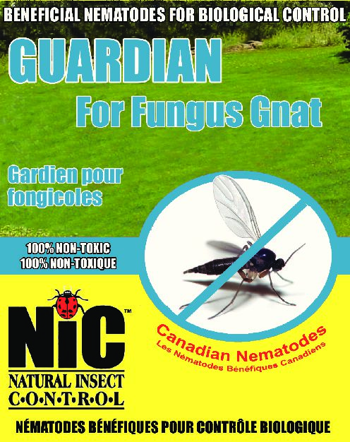 Guardian for Fungus Gnat