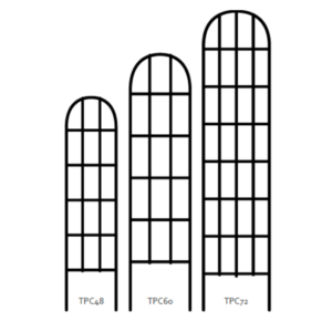 Classic Trellis
