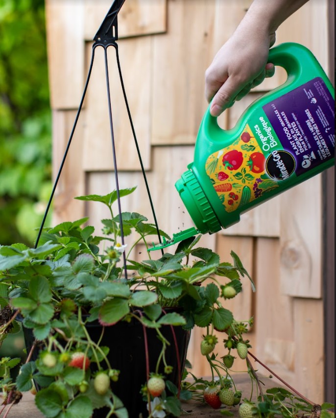 Miracle Gro Organics Plant Food Granules 4