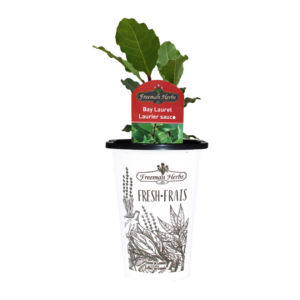 Herbs-Bay-Laurel