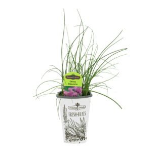 Chives product image