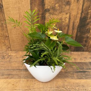 Eillen Planter