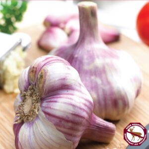 Garlic Metechi (pkg of 3 bulbs)