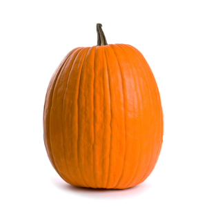 large pumpkin product image