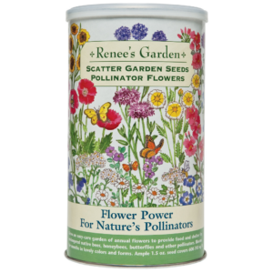 Our Featured Products