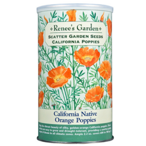 Our Featured Products