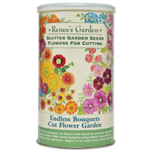 Our Featured Products