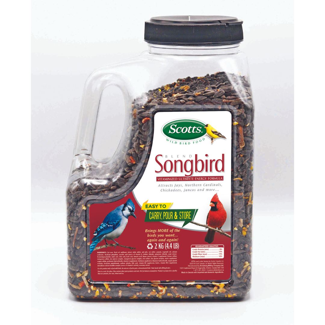 Scotts Songbird Blend Birdseed Jug 2kg
