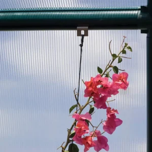 CANOPIA Plant Support Hangers – Online Exclusive