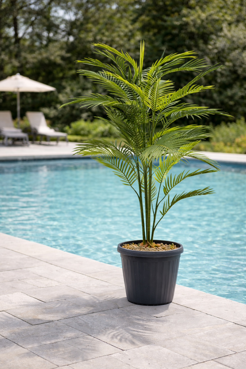Robellini Palm (Artificial)