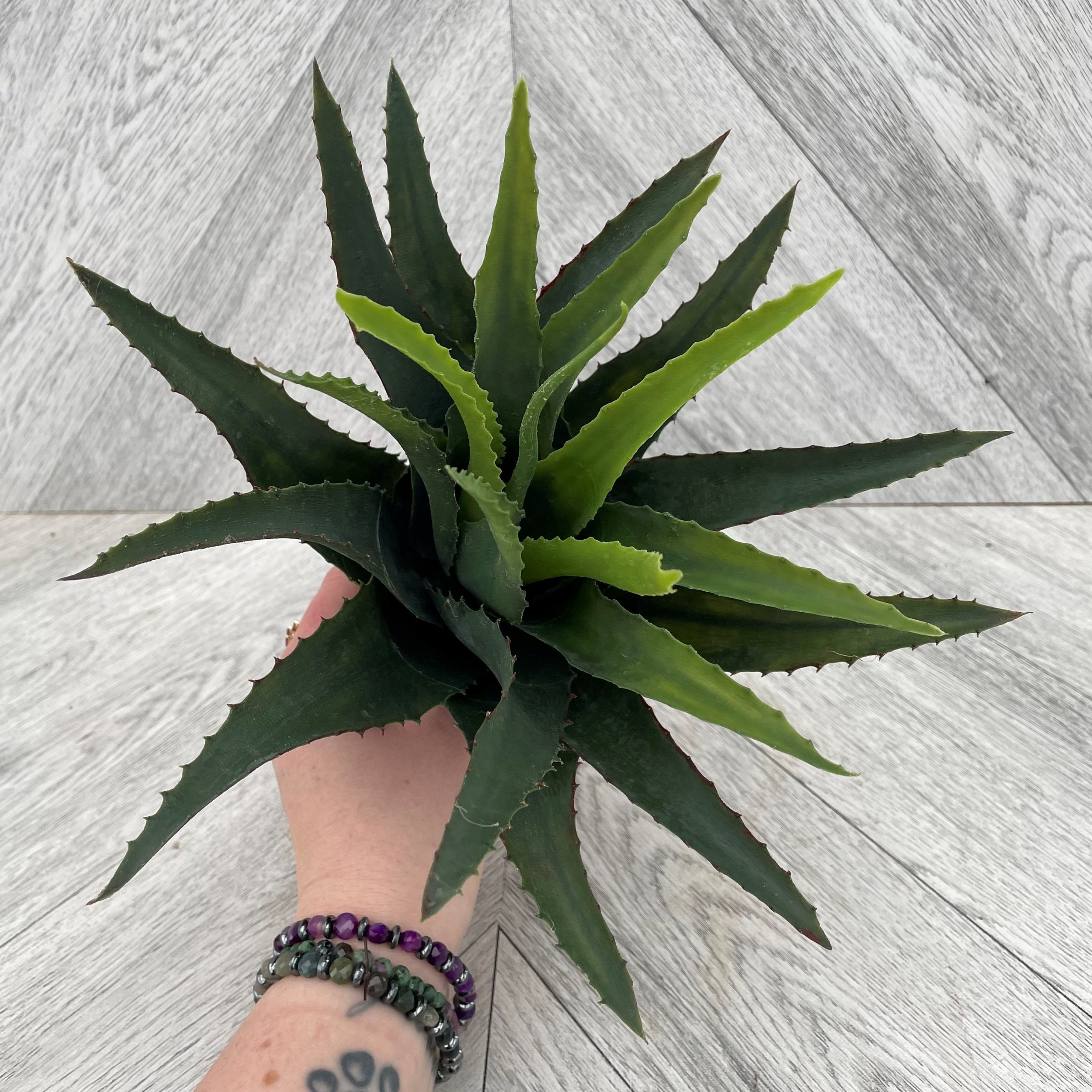 Star Succulent (Artificial)