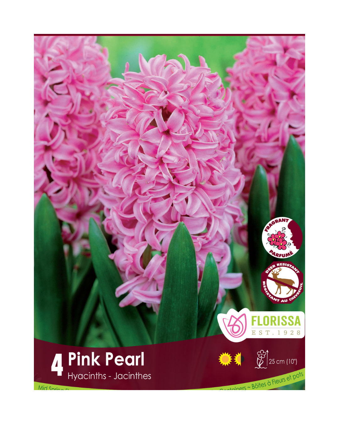 Hyacinth Pink Pearl (4bulbs/pkg)