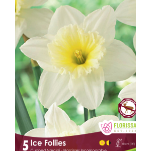 Narcissus Ice Follies (5bulbs/pkg)