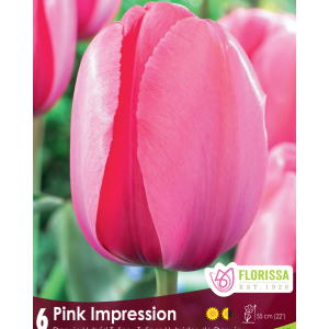 Tulip Pink Impression (6bulbs/pkg)