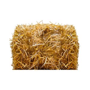 Straw Bales (Decorative Hay)