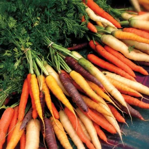 Rainbow Blend WCS product image