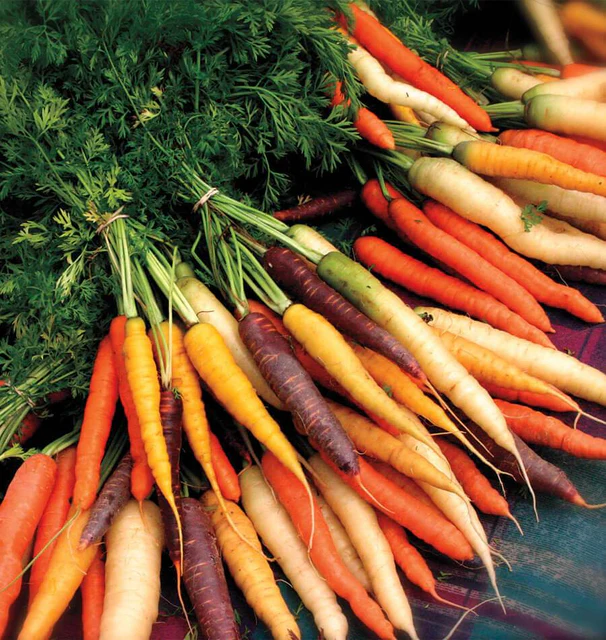 Rainbow Blend WCS product image