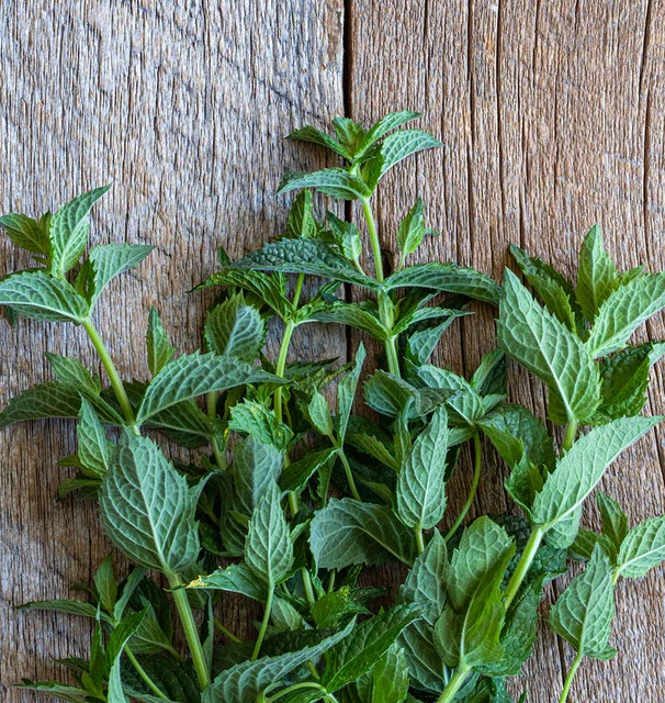 Peppermint product image
