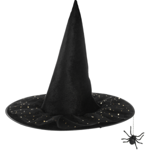Stars & Spider Witch Hat