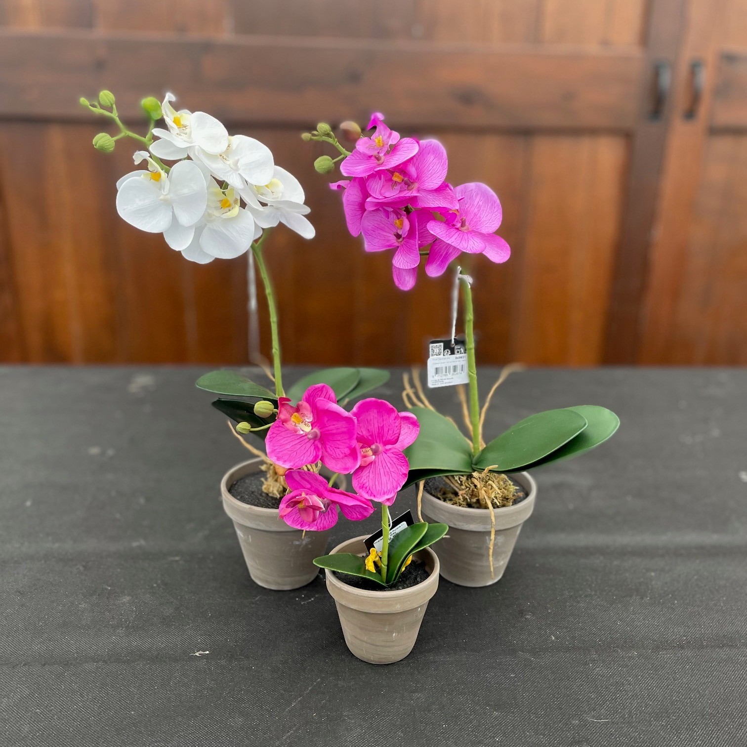 Orchid (Artificial) - 3 Varieties
