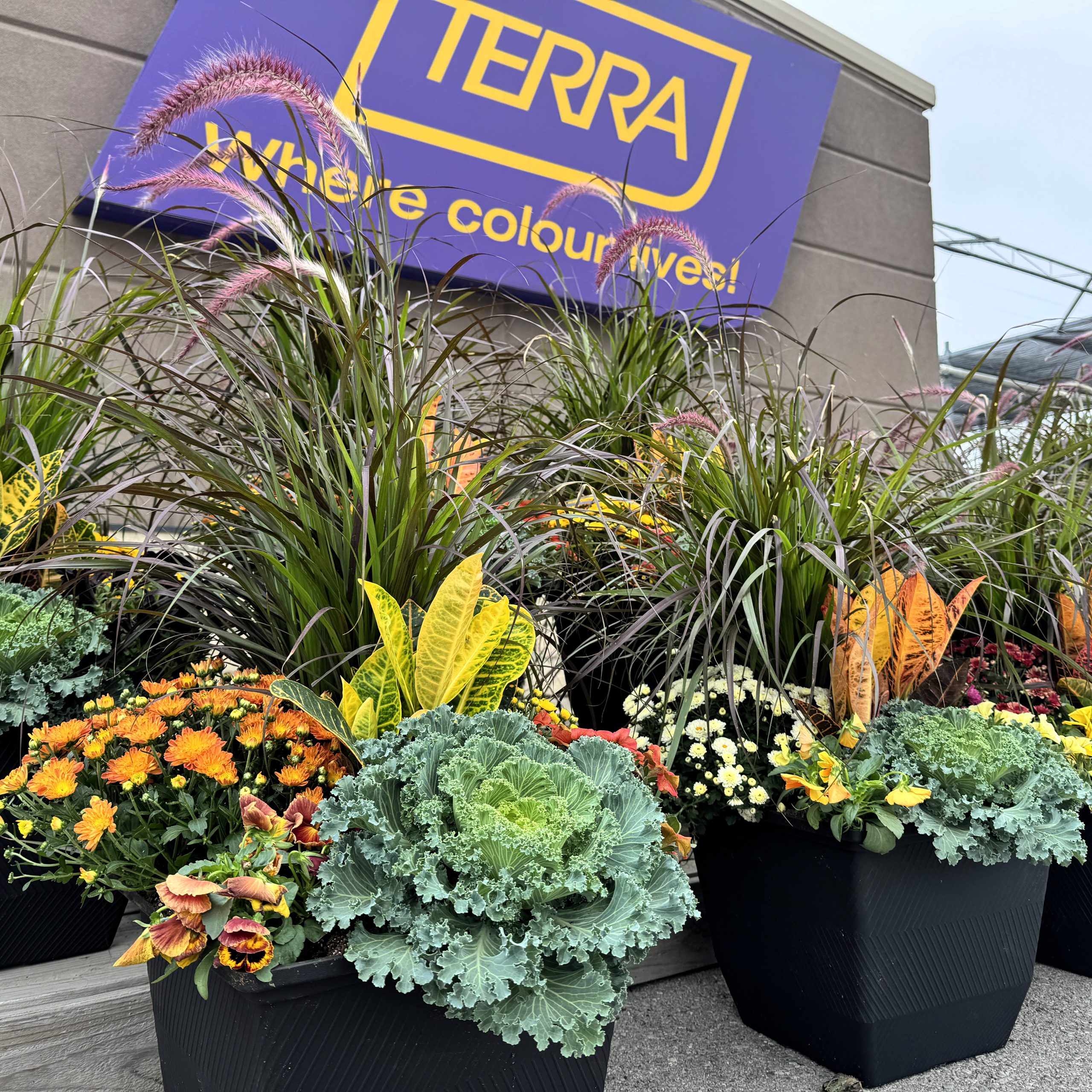 15" Fall Planter