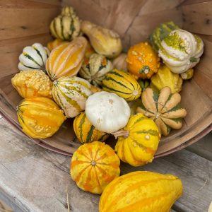 Gourds product image